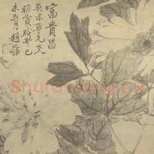 清代 赵之谦国画作品《牡丹》摘自 南画大成 续集三