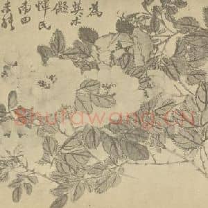 清代 赵之谦国画作品《月季》摘自 南画大成 续集三