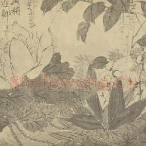 清代 赵之谦国画作品《荷花图》摘自 南画大成 续集三