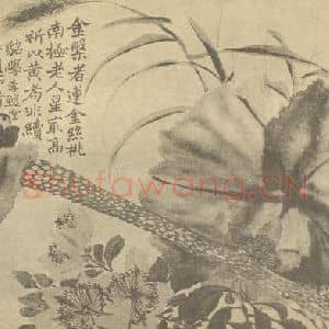 清代 赵之谦国画作品《金莲丝桃南星图》摘自 南画大成 续集三