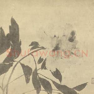清代 赵之谦国画作品《芍药》摘自 南画大成 续集三