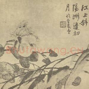 清代 赵之谦国画作品《芙蓉图》摘自 南画大成 续集三