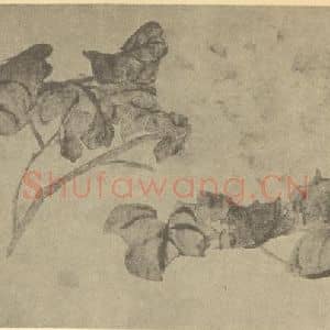 清代 赵之谦国画作品《牡丹》摘自 南画大成 续集三