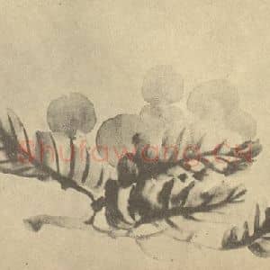 清代 赵之谦国画作品《枇杷》摘自 南画大成 续集三
