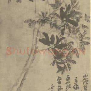 清代 吴昌硕国画作品《南天竹》摘自 南画大成 续集三