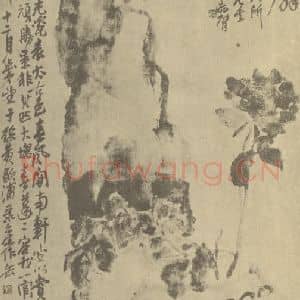 清代 吴昌硕国画作品《牡丹顽石图》摘自 南画大成 续集三