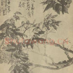 清代 吴昌硕国画作品《荔枝》摘自 南画大成 续集三