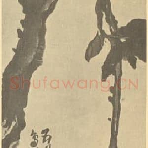 清代 吴昌硕国画作品《枇杷》摘自 南画大成 续集三