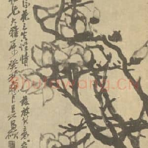 清代 吴昌硕国画作品《木莲》摘自 南画大成 续集三