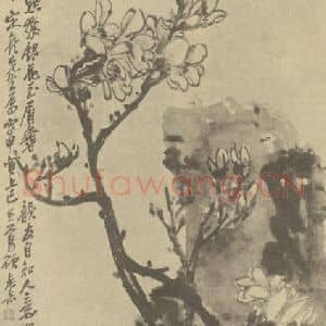 清代 吴昌硕国画作品《木莲图》摘自 南画大成 续集三