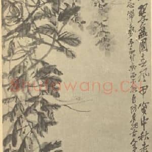 清代 吴昌硕国画作品《珠藤》摘自 南画大成 续集三