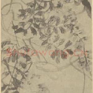 清代 吴昌硕国画作品《藤花》摘自 南画大成 续集三