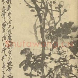 清代 吴昌硕国画作品《玉兰·牡丹图》摘自 南画大成 续集三
