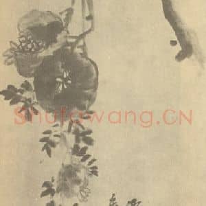 清代 吴昌硕国画作品《石榴》摘自 南画大成 续集三