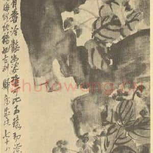 清代 吴昌硕国画作品《秋海棠》摘自 南画大成 续集三
