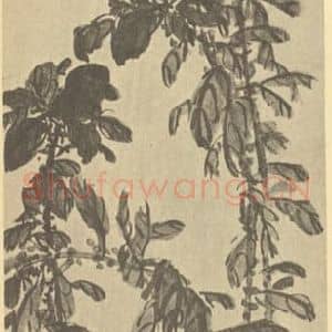 清代 吴昌硕国画作品《雁来红》摘自 南画大成 续集三