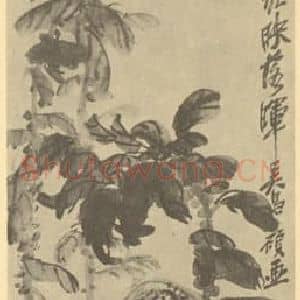 清代 吴昌硕国画作品《雁来红图》摘自 南画大成 续集三
