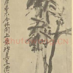 清代 吴昌硕国画作品《桂花》摘自 南画大成 续集三