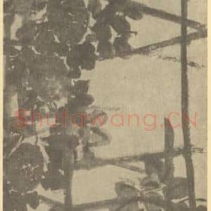 清代 吴昌硕国画作品《荔枝》摘自 南画大成 续集三