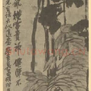 清代 吴昌硕国画作品《牡丹·水仙图》摘自 南画大成 续集三