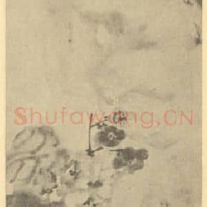 清代 吴昌硕国画作品《秋海棠图》摘自 南画大成 续集三