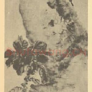 清代 吴昌硕国画作品《秋色图》摘自 南画大成 续集三