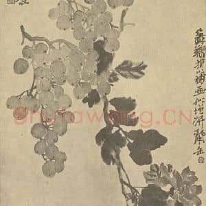 清代 吴昌硕国画作品《葡萄·菊花》摘自 南画大成 续集三