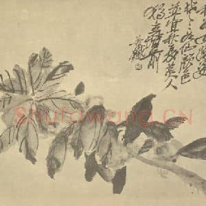 清代 吴昌硕国画作品《凤仙花》摘自 南画大成 续集三