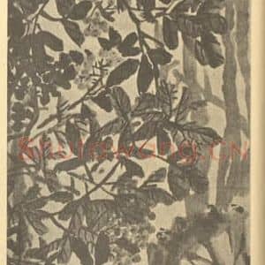 清代 吴昌硕国画作品《南天竹图》摘自 南画大成 续集三