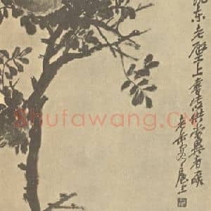 清代 吴昌硕国画作品《石榴》摘自 南画大成 续集三