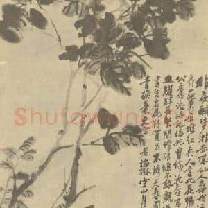 清代 吴昌硕国画作品《牡丹》摘自 南画大成 续集三