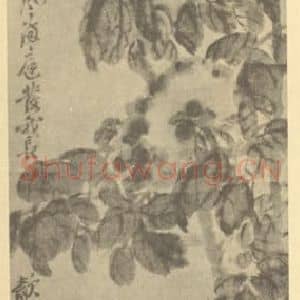 清代 吴昌硕国画作品《牡丹图》摘自 南画大成 续集三