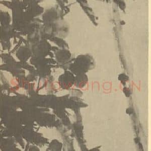 清代 吴昌硕国画作品《卢橘》摘自 南画大成 续集三