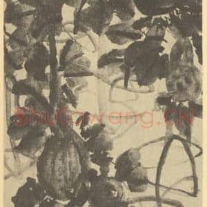 清代 吴昌硕国画作品《胡卢》摘自 南画大成 续集三