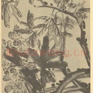 清代 吴昌硕国画作品《荔枝》摘自 南画大成 续集三