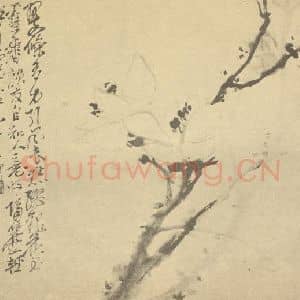 清代 吴昌硕国画作品《玉兰》摘自 南画大成 续集三