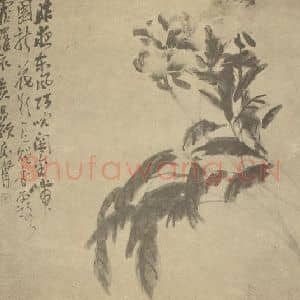 清代 吴昌硕国画作品《芍药》摘自 南画大成 续集三