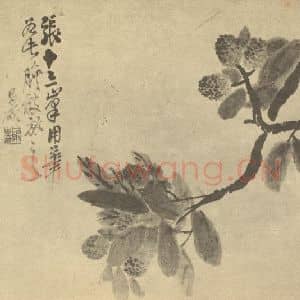 清代 吴昌硕国画作品《荔枝》摘自 南画大成 续集三