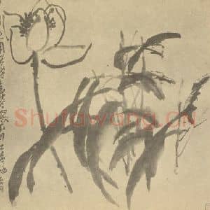 清代 吴昌硕国画作品《荷花》摘自 南画大成 续集三