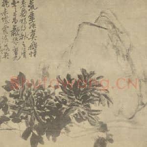 清代 吴昌硕国画作品《菊花图》摘自 南画大成 续集三