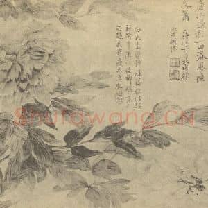 清代 恽寿平国画作品《牡丹》摘自 南画大成 续集三