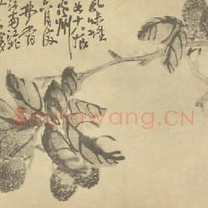清代 吴昌硕国画作品《荔枝》摘自 南画大成 续集三