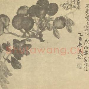 清代 吴昌硕国画作品《枇杷·菊花》摘自 南画大成 续集三
