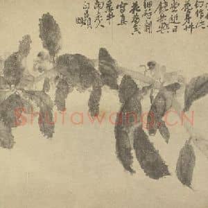 清代 吴昌硕国画作品《凤仙》摘自 南画大成 续集三