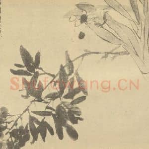 清代 吴昌硕国画作品《水仙·南天》摘自 南画大成 续集三