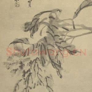 清代 吴昌硕国画作品《芍药》摘自 南画大成 续集三