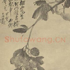 清代 吴昌硕国画作品《枇杷》摘自 南画大成 续集三