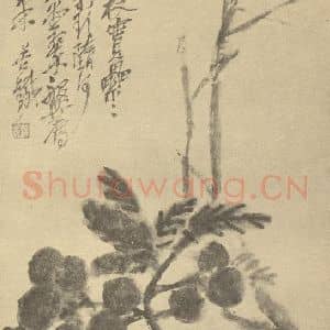 清代 吴昌硕国画作品《荔枝》摘自 南画大成 续集三