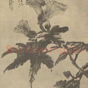 清代 吴昌硕国画作品《兰花》摘自 南画大成 续集三