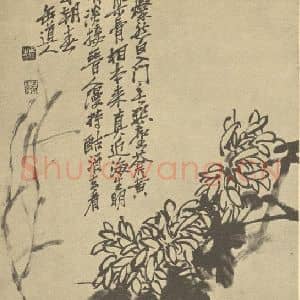 清代 吴昌硕国画作品《凤仙》摘自 南画大成 续集三